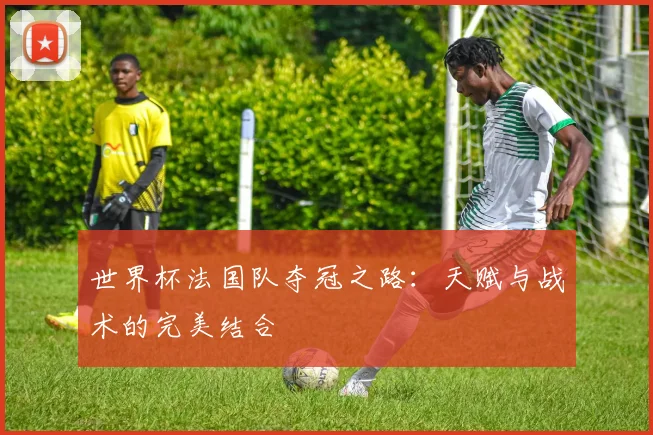 世界杯法国队夺冠之路:天赋与战术的完美结合