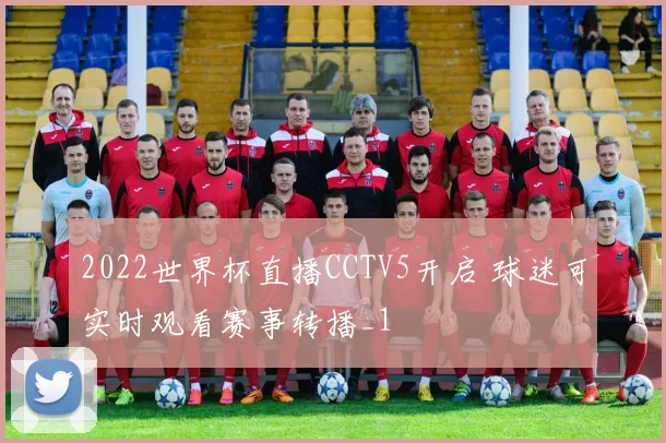 2022世界杯直播CCTV5开启 球迷可实时观看赛事转播_1